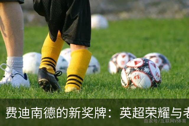 费迪南德的新奖牌：英超荣耀与老教头们的欢笑